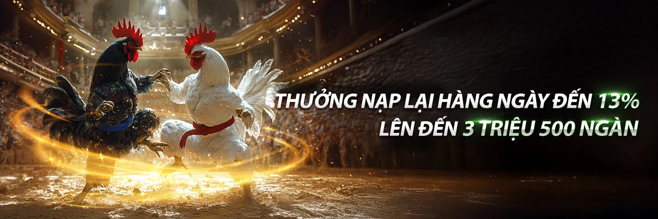 Đá Gà Trực Tuyến Hấp Dẫn tại fb9 Chính Thức