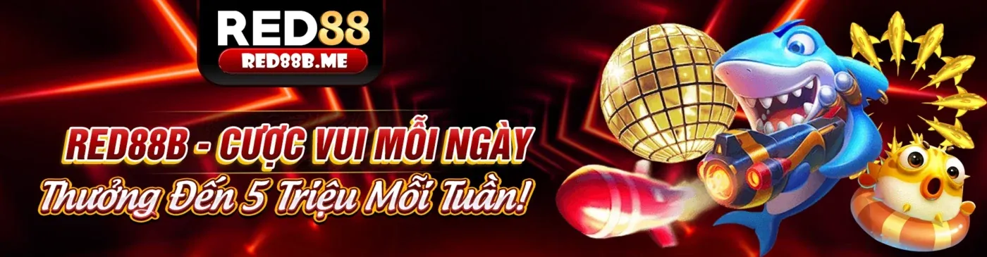 Hình ảnh minh họa chính sách quyền riêng tư của FB9 Chính Thức
